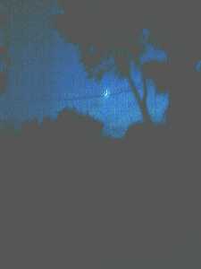 0811132044