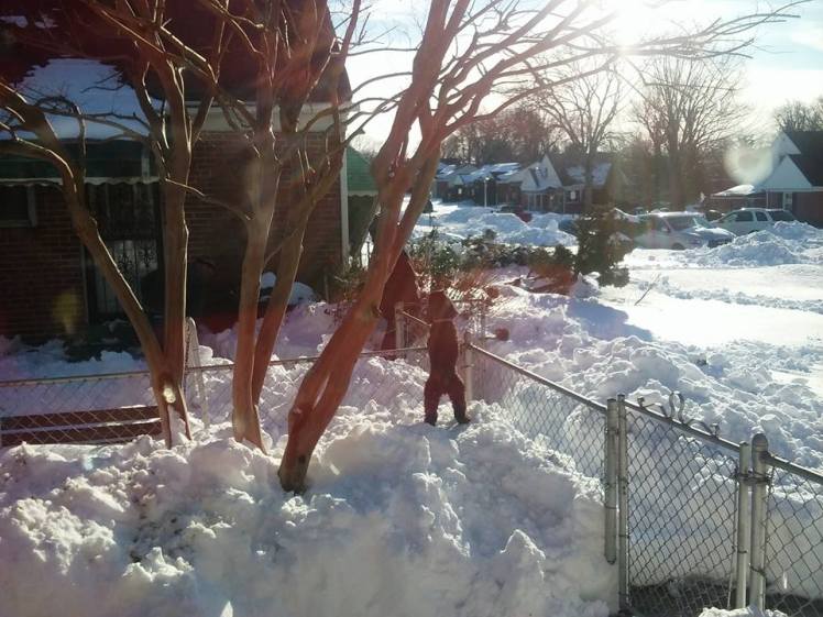 Photo courtesy of my neighbor Alethea Coles Turner