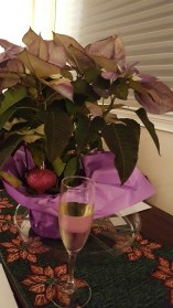 20161225_180245_resized